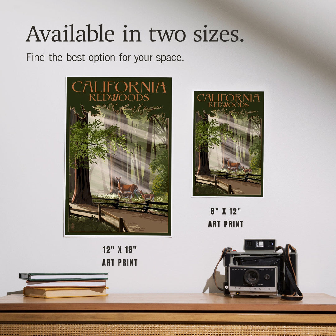California, Redwoods and Deer, Art & Giclee Prints - Lantern Press
