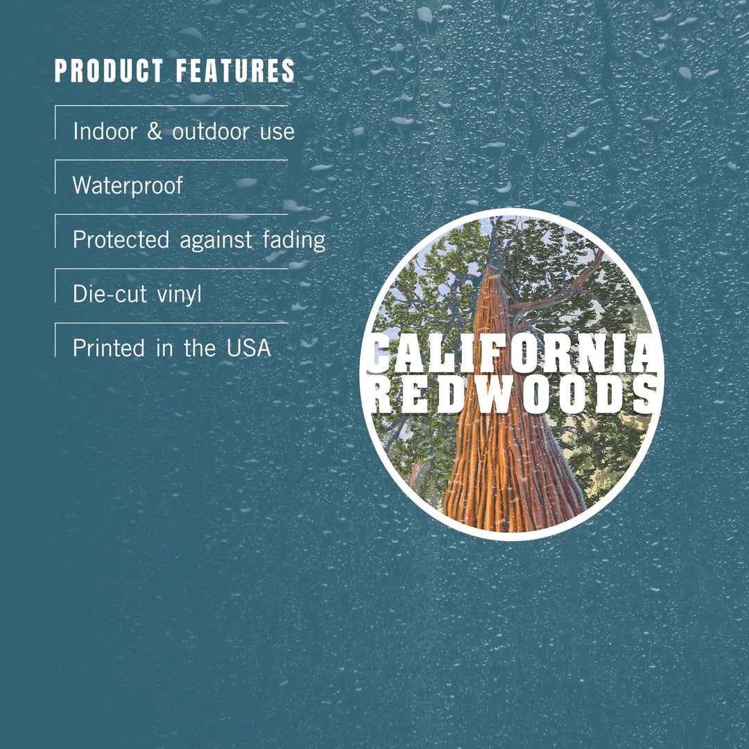 California Redwoods, Looking Up Tree, Contour, Vinyl Sticker Sticker Lantern Press
