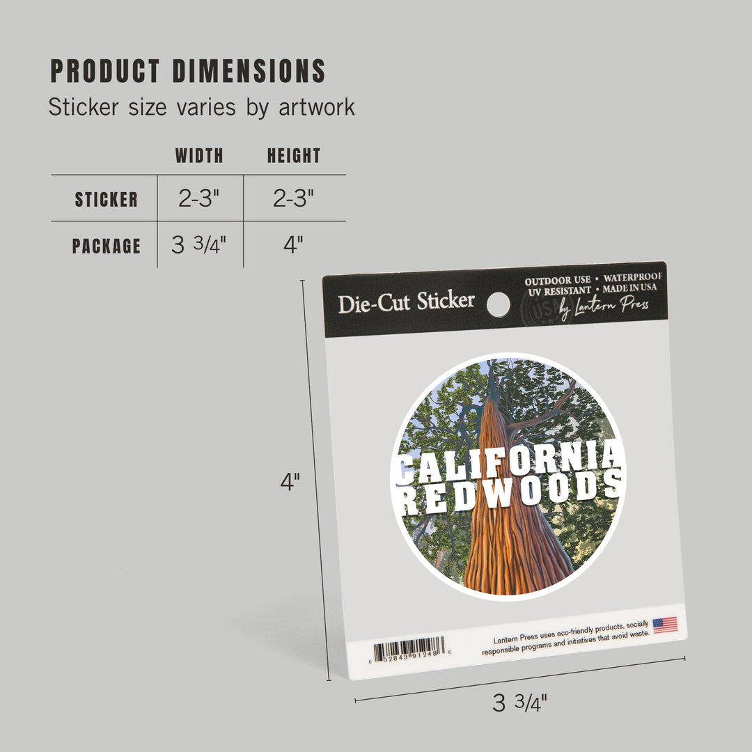 California Redwoods, Looking Up Tree, Contour, Vinyl Sticker Sticker Lantern Press