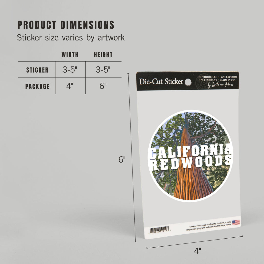 California Redwoods, Looking Up Tree, Contour, Vinyl Sticker Sticker Lantern Press