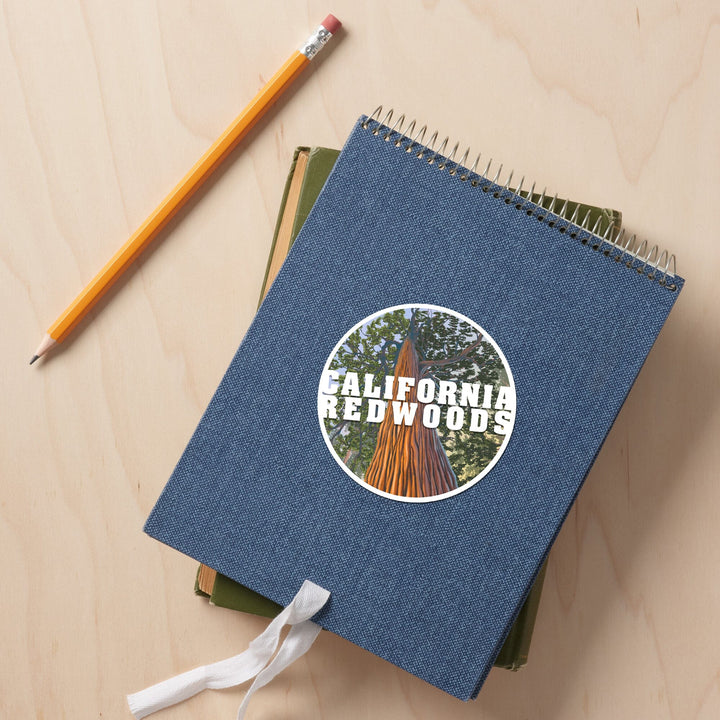 California Redwoods, Looking Up Tree, Contour, Vinyl Sticker Sticker Lantern Press