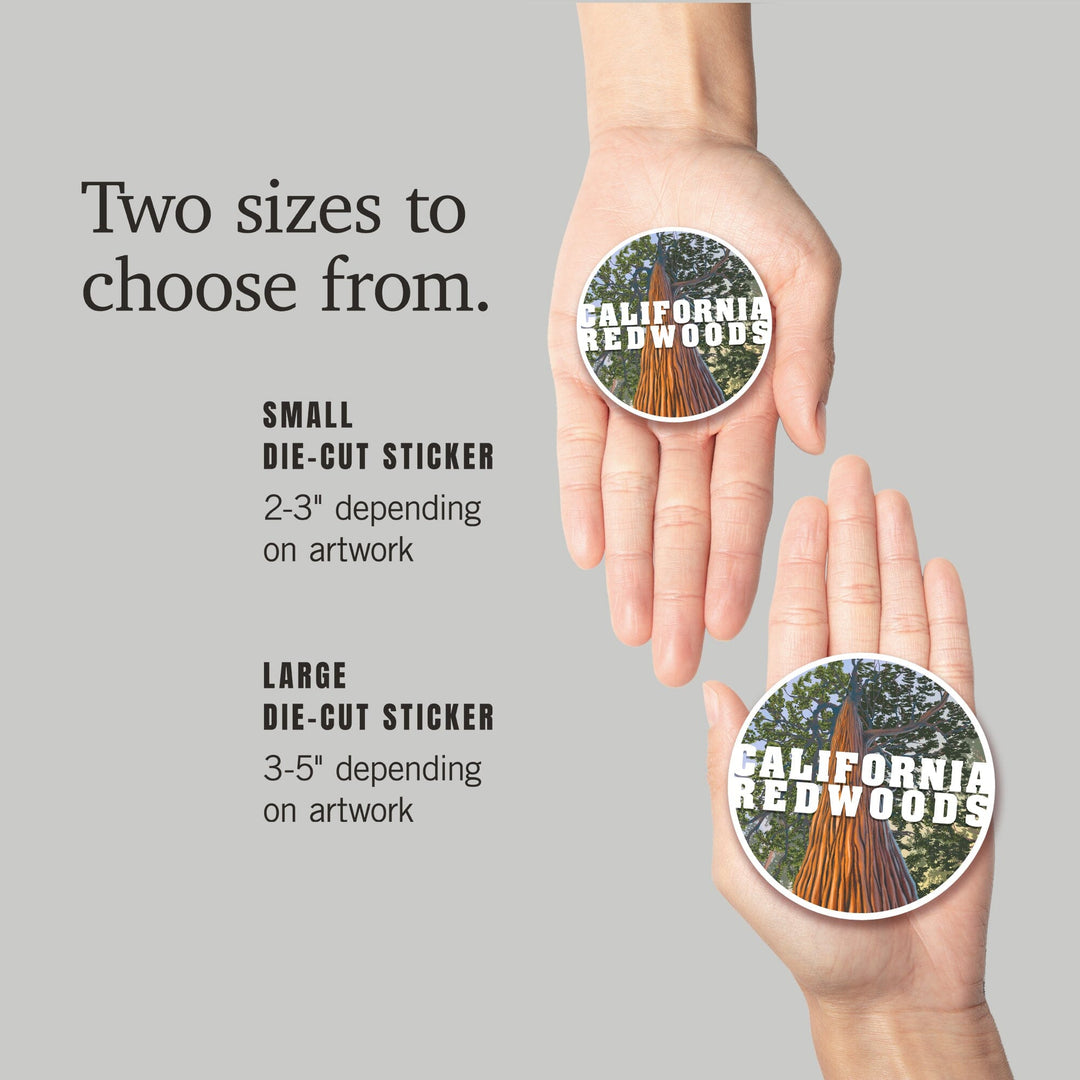 California Redwoods, Looking Up Tree, Contour, Vinyl Sticker Sticker Lantern Press