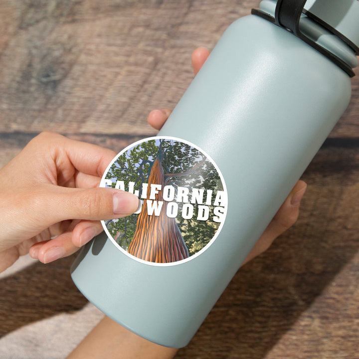 California Redwoods, Looking Up Tree, Contour, Vinyl Sticker Sticker Lantern Press