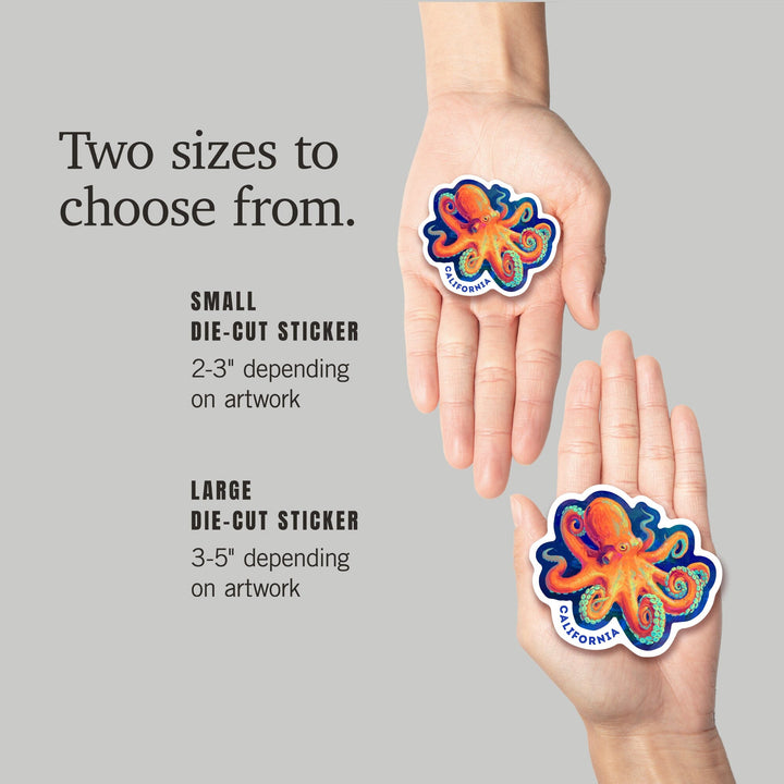 California, Vivid, Octopus, Contour, Vinyl Sticker Sticker Lantern Press