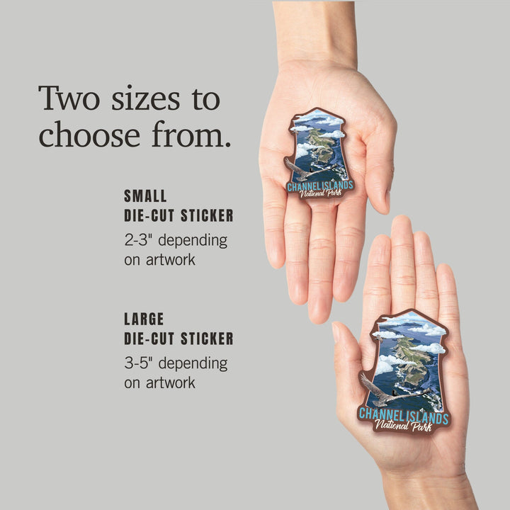 Channel Islands National Park, California, Bird's Eye View, Painterly Series, Contour, Lantern Press Artwork, Vinyl Sticker - Lantern Press
