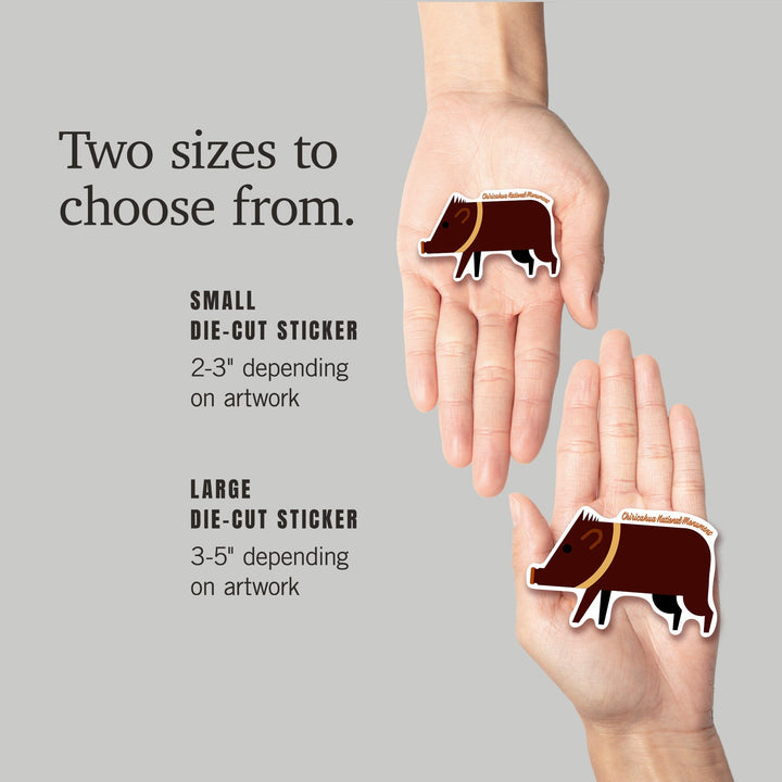 Chiricahua National Monument, Arizona, Javelina, Geometric, Contour, Lantern Press Artwork, Vinyl Sticker - Lantern Press