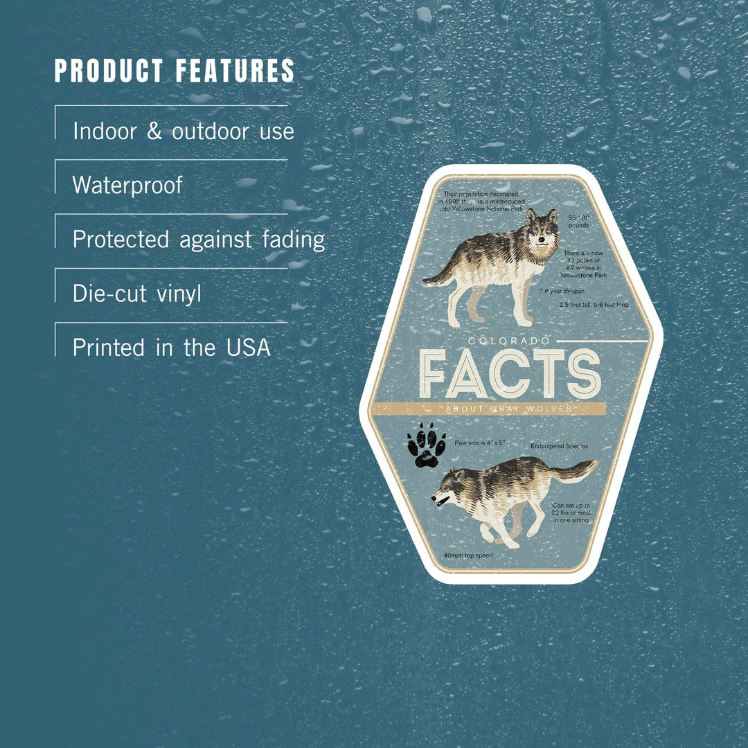 Colorado, Facts About Gray Wolves, Contour, Vinyl Sticker Sticker Lantern Press