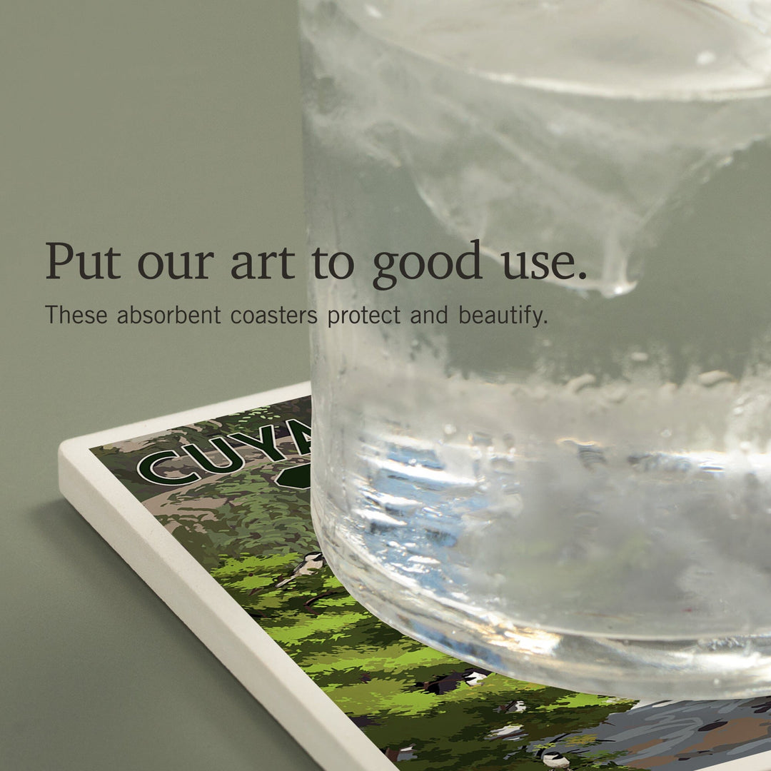 Cuyahoga Valley National Park, Ohio, Deer and Falls, Coasters Coasters Lantern Press