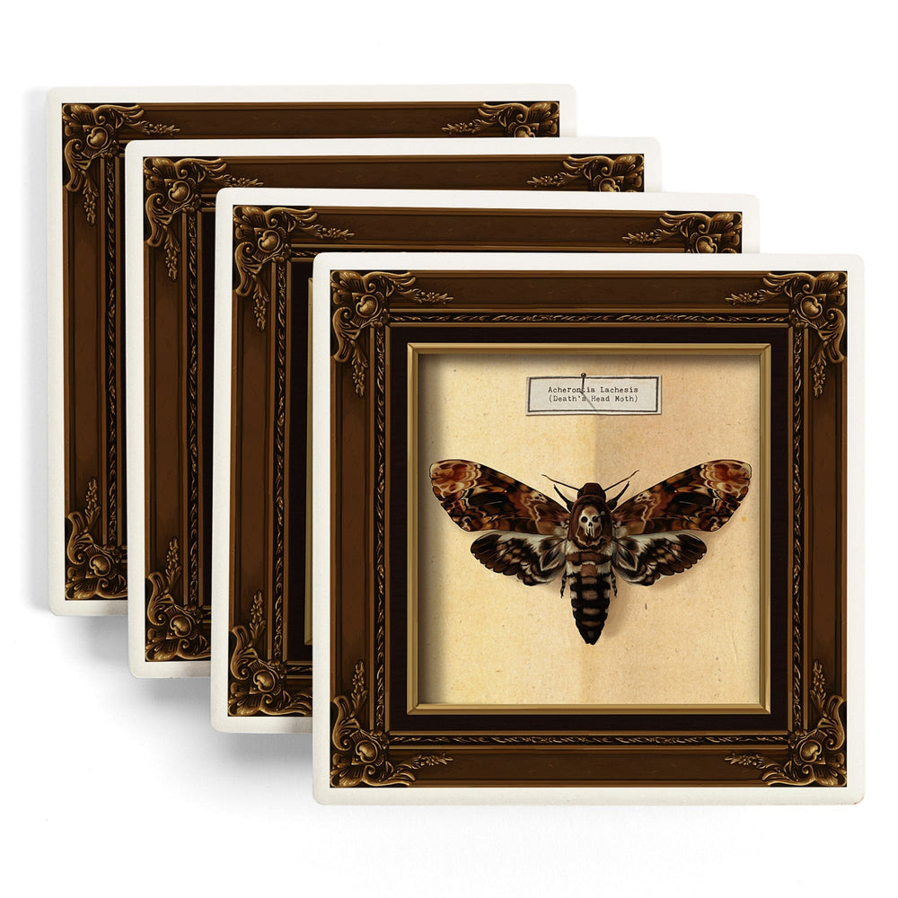 Death's Head Moth, Coasters Coasters Lantern Press