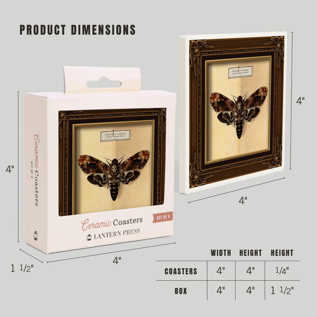 Death's Head Moth, Coasters Coasters Lantern Press