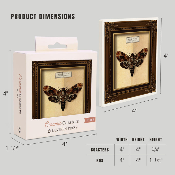 Death's Head Moth, Coasters Coasters Lantern Press