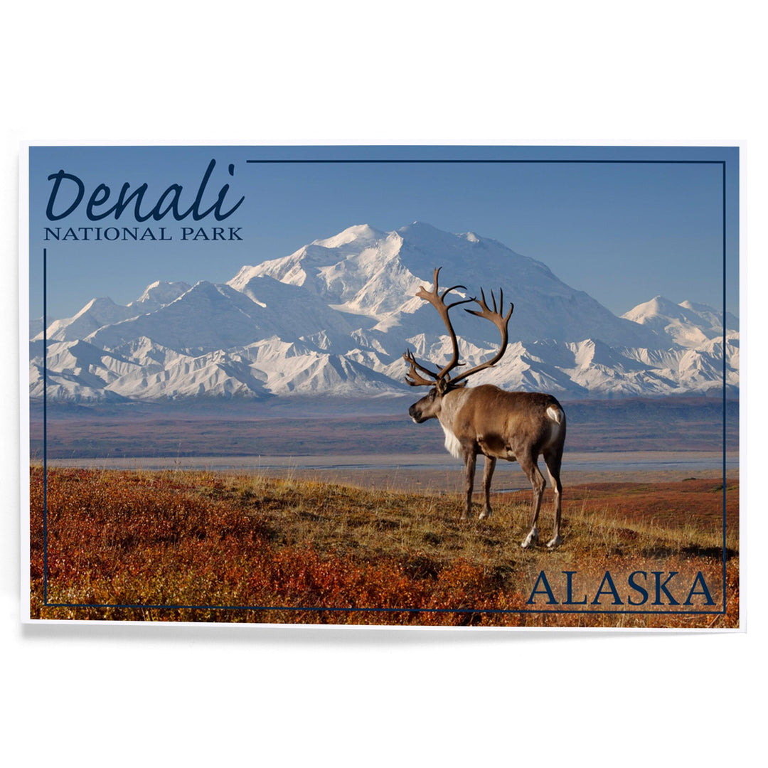 Denali National Park, Alaska, Caribou and Denali, Art & Giclee Prints - Lantern Press
