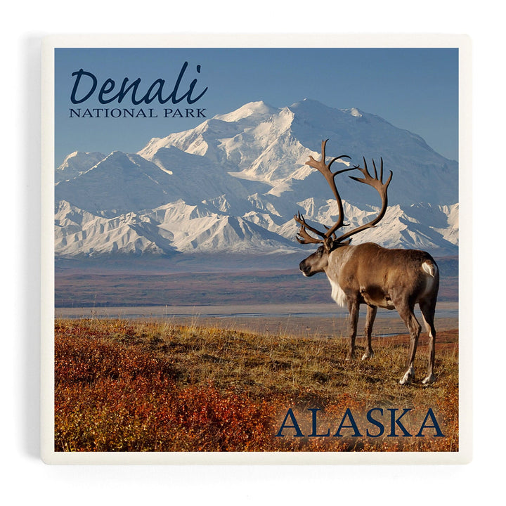 Denali National Park, Alaska, Caribou and Denali, Coasters Coasters Lantern Press Coaster