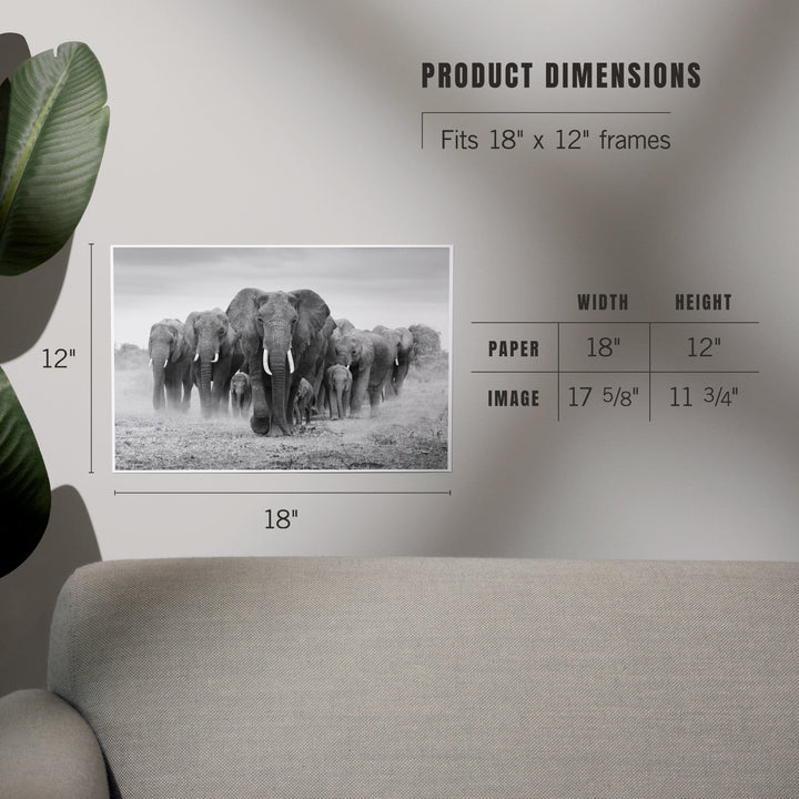 Elephant Herd, Art & Giclee Prints Art Lantern Press