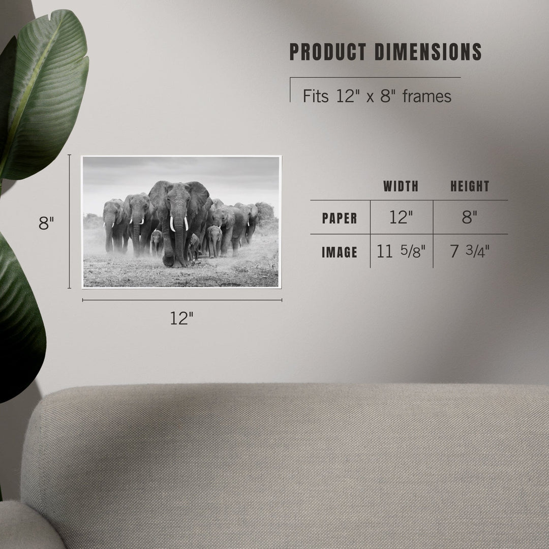 Elephant Herd, Art & Giclee Prints Art Lantern Press