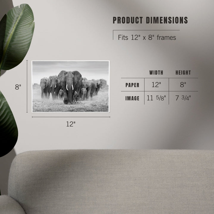 Elephant Herd, Art & Giclee Prints Art Lantern Press