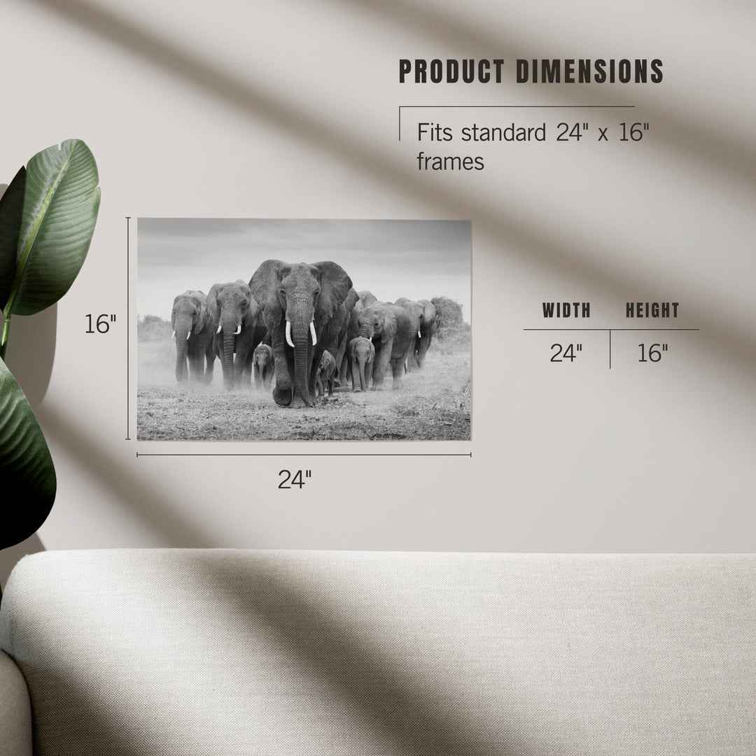 Elephant Herd, Art & Giclee Prints Art Lantern Press