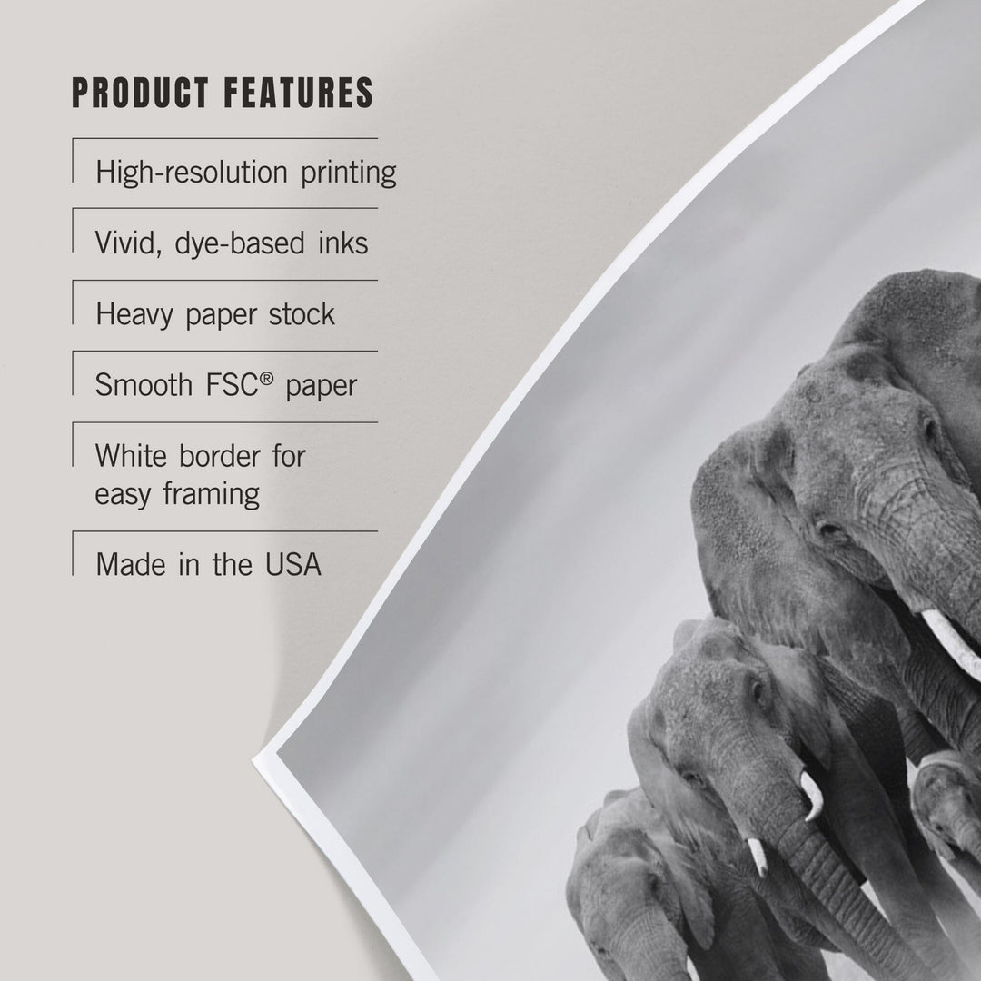 Elephant Herd, Art & Giclee Prints Art Lantern Press