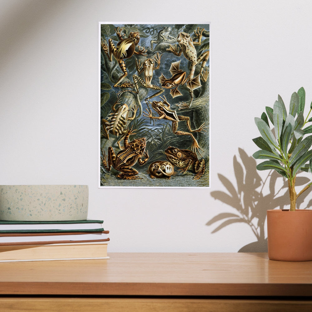 Ernst Haeckel, Batrachia, Art & Giclee Prints - Lantern Press