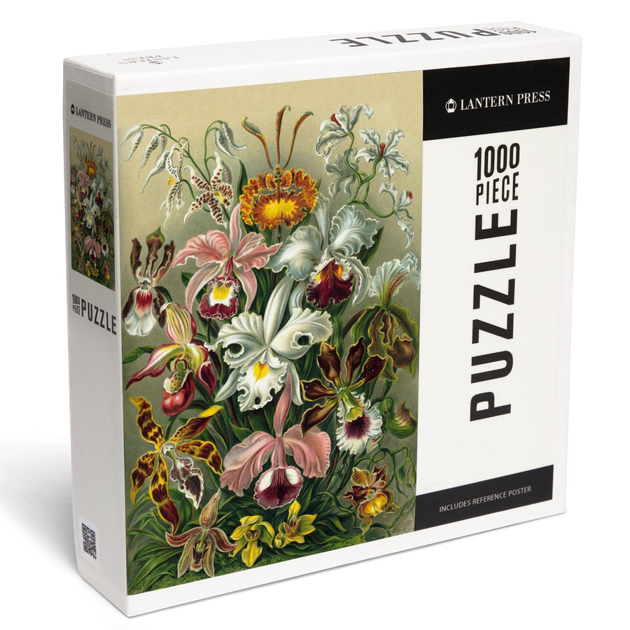 Ernst Haeckel, Orchidae, Jigsaw Puzzle Puzzle Lantern Press 