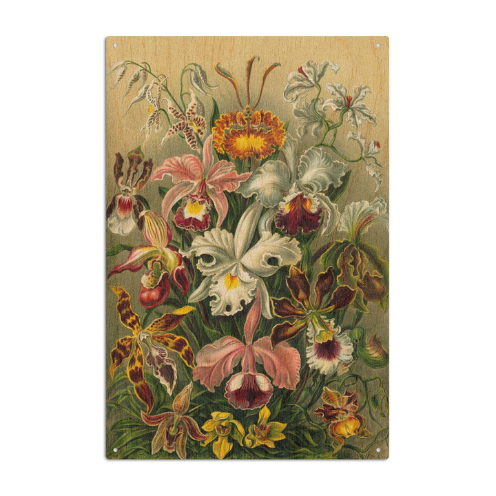 Ernst Haeckel, Orchidae, Lantern Press Artwork, Wood Signs and Postcards - Lantern Press