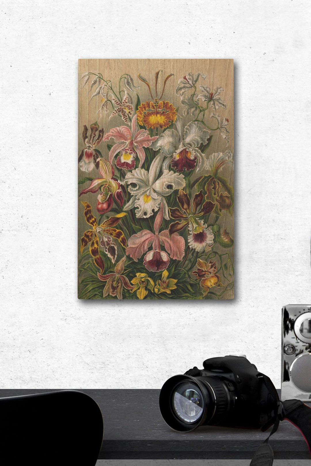 Ernst Haeckel, Orchidae, Lantern Press Artwork, Wood Signs and Postcards - Lantern Press