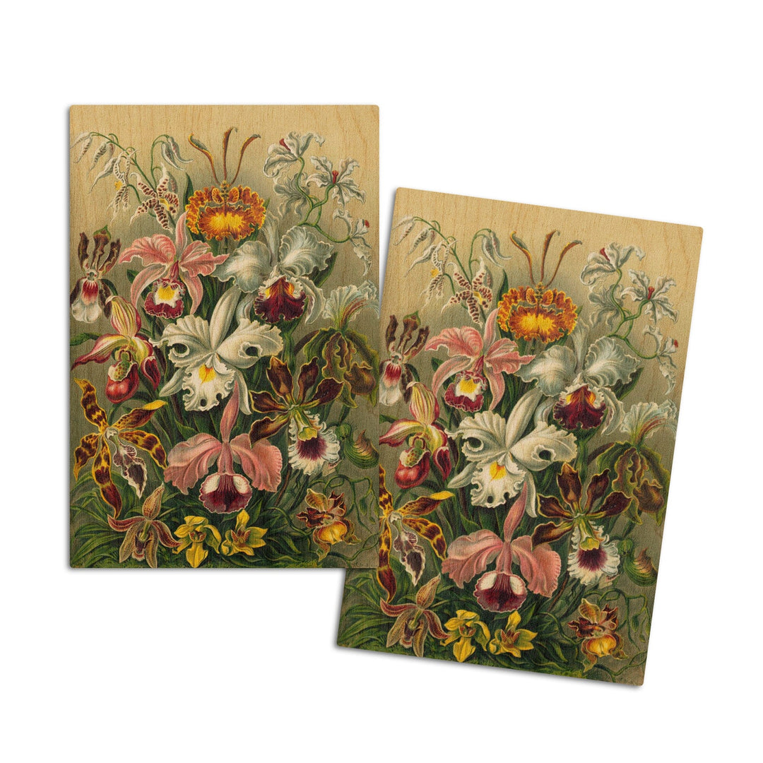 Ernst Haeckel, Orchidae, Lantern Press Artwork, Wood Signs and Postcards - Lantern Press