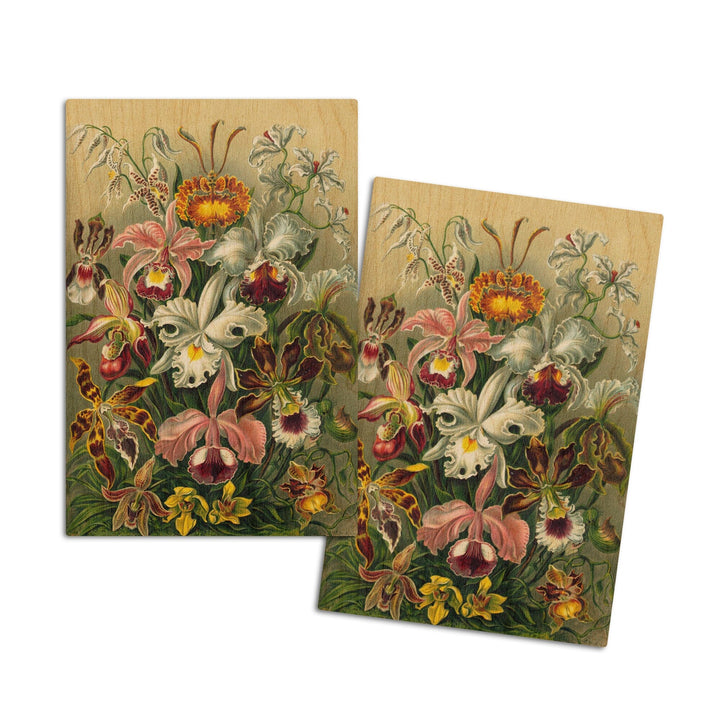 Ernst Haeckel, Orchidae, Lantern Press Artwork, Wood Signs and Postcards - Lantern Press
