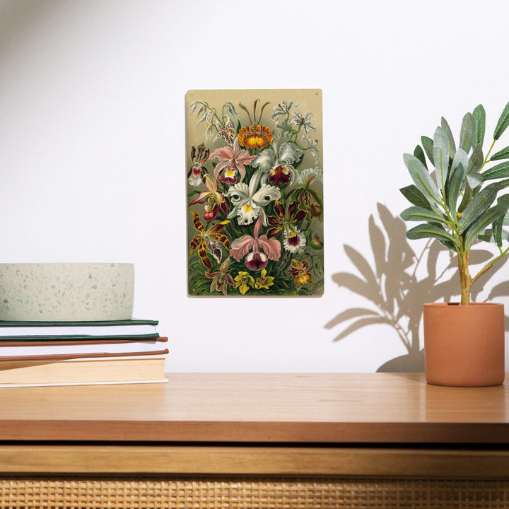 Ernst Haeckel, Orchidae, Lantern Press Artwork, Wood Signs and Postcards - Lantern Press