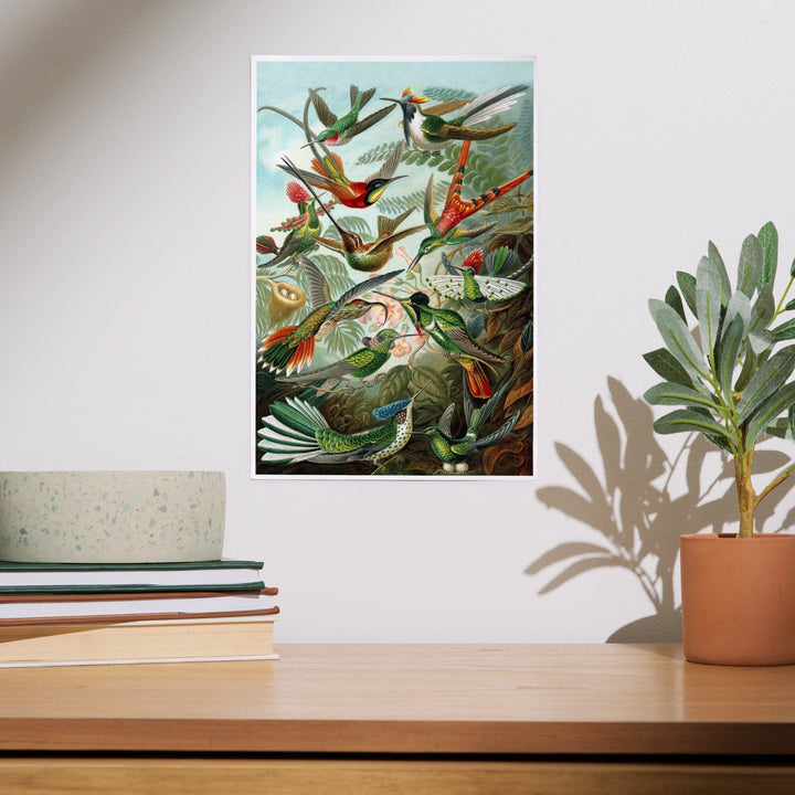 Ernst Haeckel, Trochilidae, Art & Giclee Prints - Lantern Press