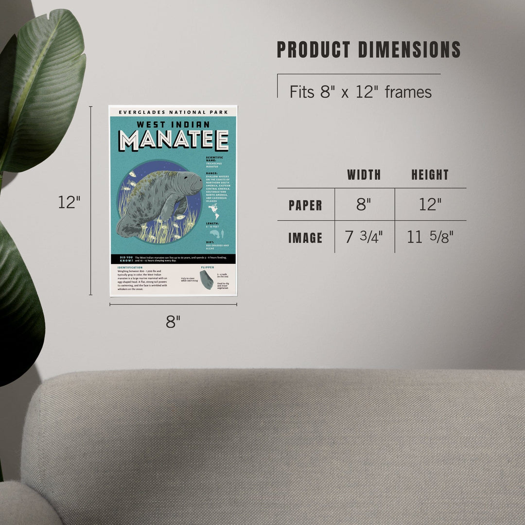 Everglades National Park, Facts About Manatees, Art & Giclee Prints Art Lantern Press