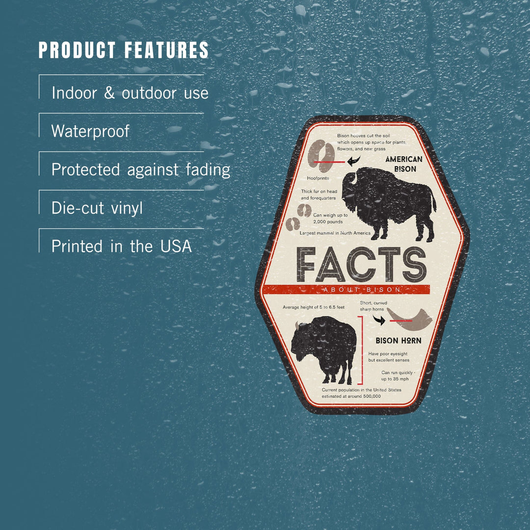 Facts About Bison, Contour, Lantern Press Artwork, Vinyl Sticker - Lantern Press
