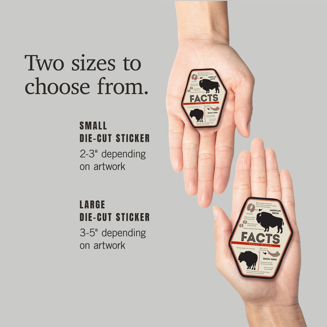 Facts About Bison, Contour, Lantern Press Artwork, Vinyl Sticker - Lantern Press