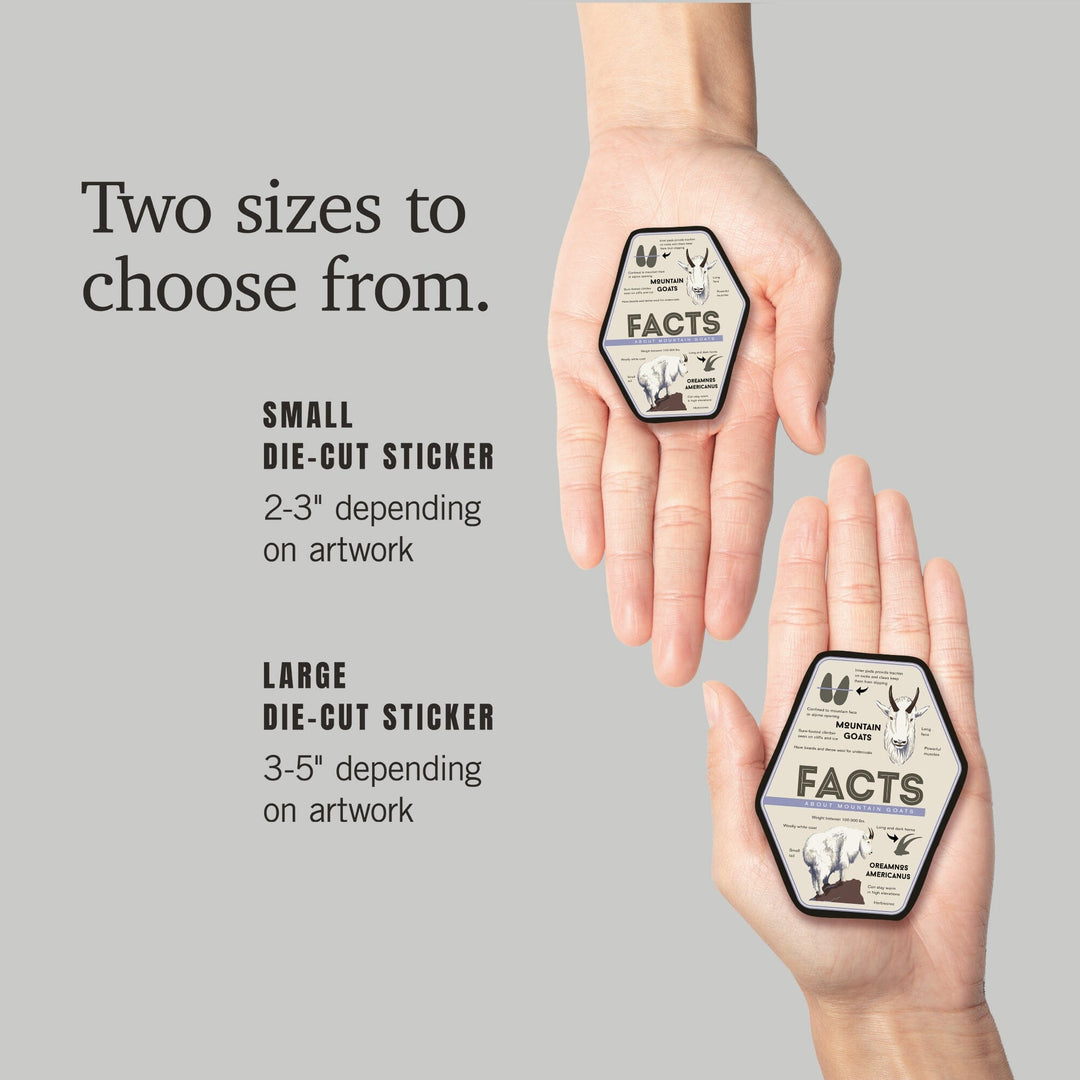 Facts About Mountain Goats, Contour, Lantern Press Artwork, Vinyl Sticker - Lantern Press