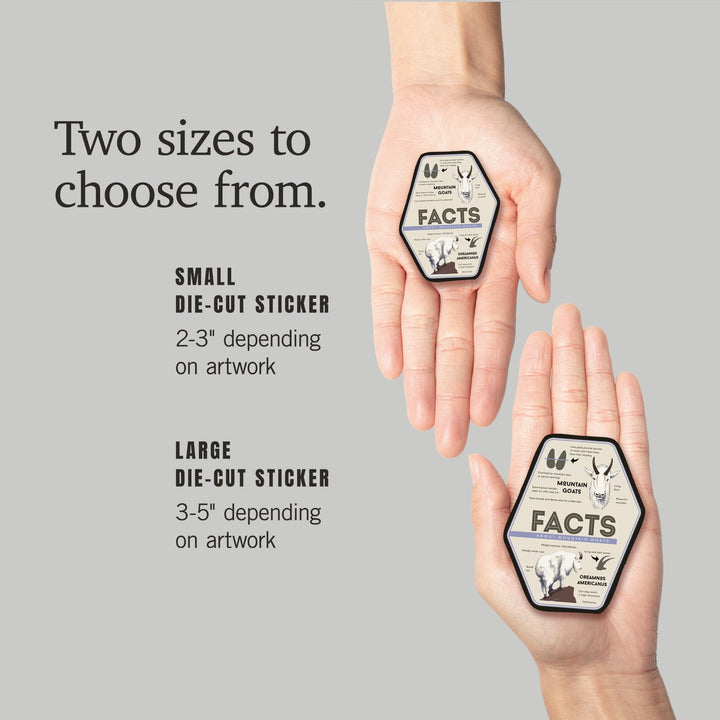 Facts About Mountain Goats, Contour, Lantern Press Artwork, Vinyl Sticker - Lantern Press