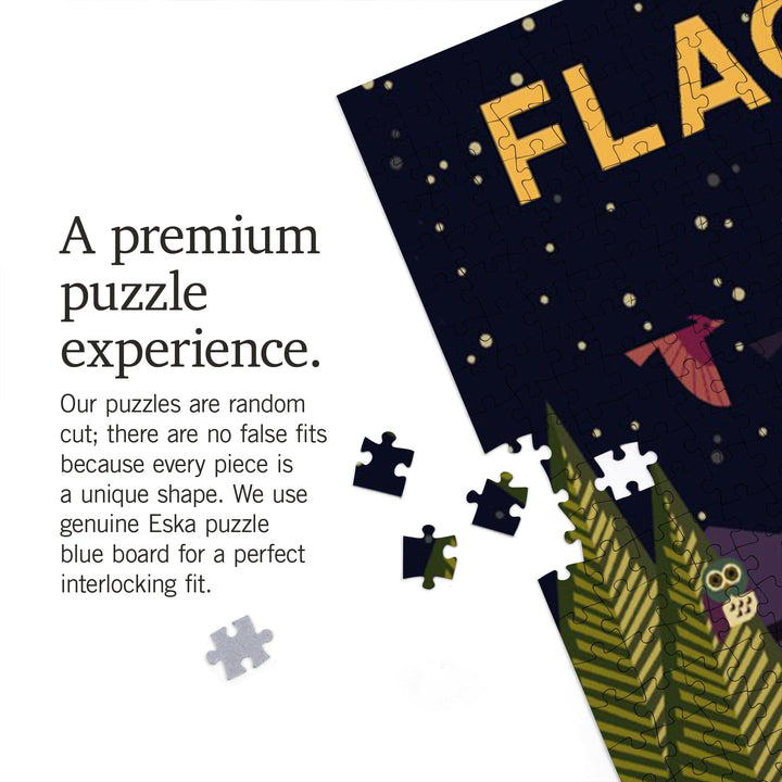 Flagstaff, Arizona, Desert at Night, Geometric, Jigsaw Puzzle Puzzle Lantern Press