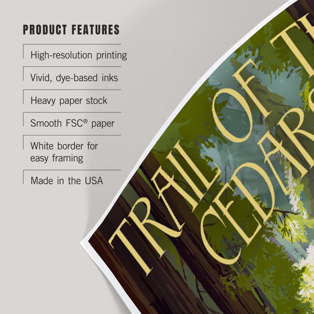 Glacier National Park, Montana, Trail of the Cedars, Art & Giclee Prints - Lantern Press