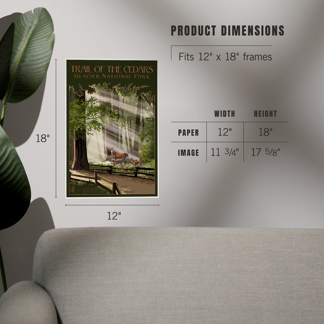 Glacier National Park, Montana, Trail of the Cedars, Deer Family, Art & Giclee Prints Art Lantern Press