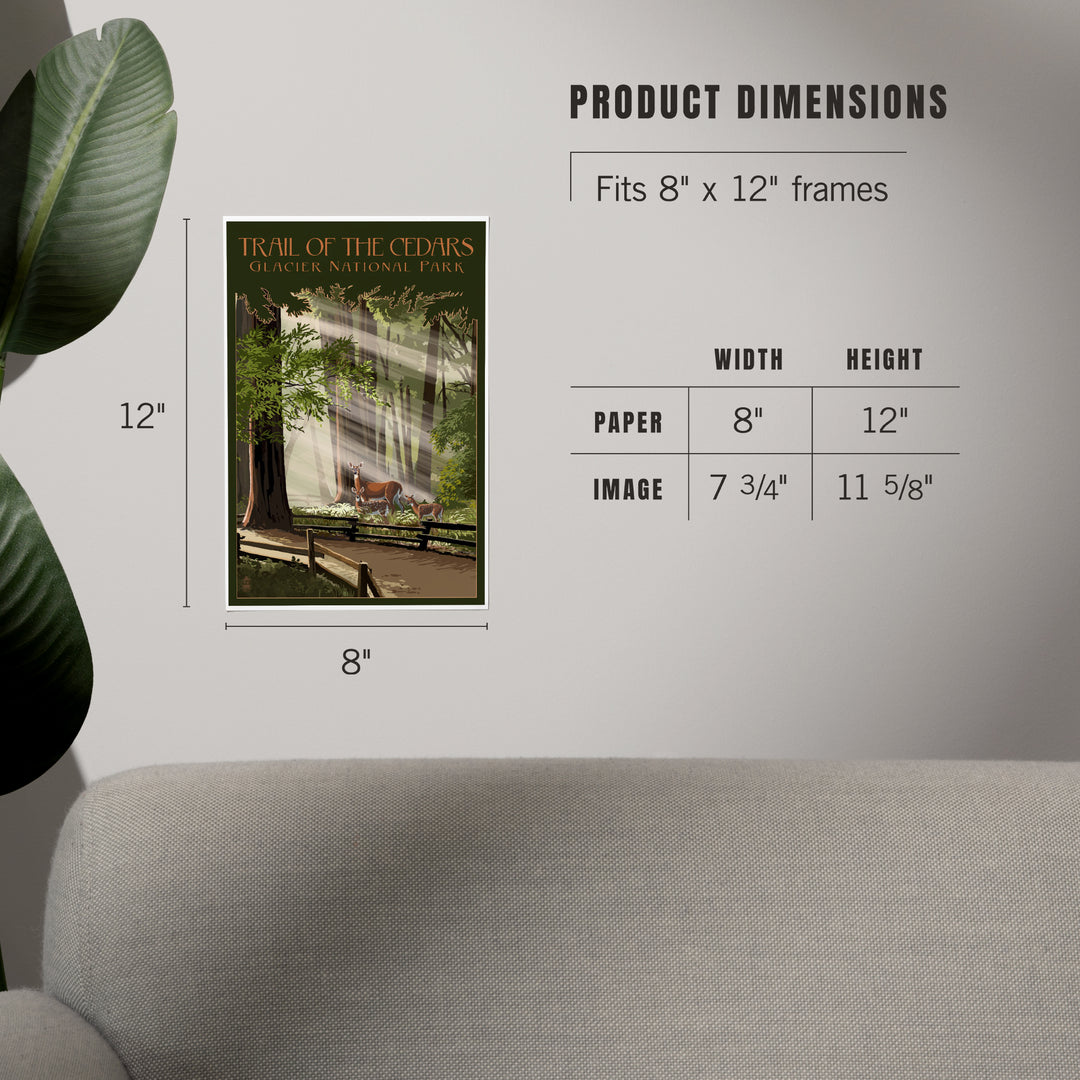 Glacier National Park, Montana, Trail of the Cedars, Deer Family, Art & Giclee Prints Art Lantern Press