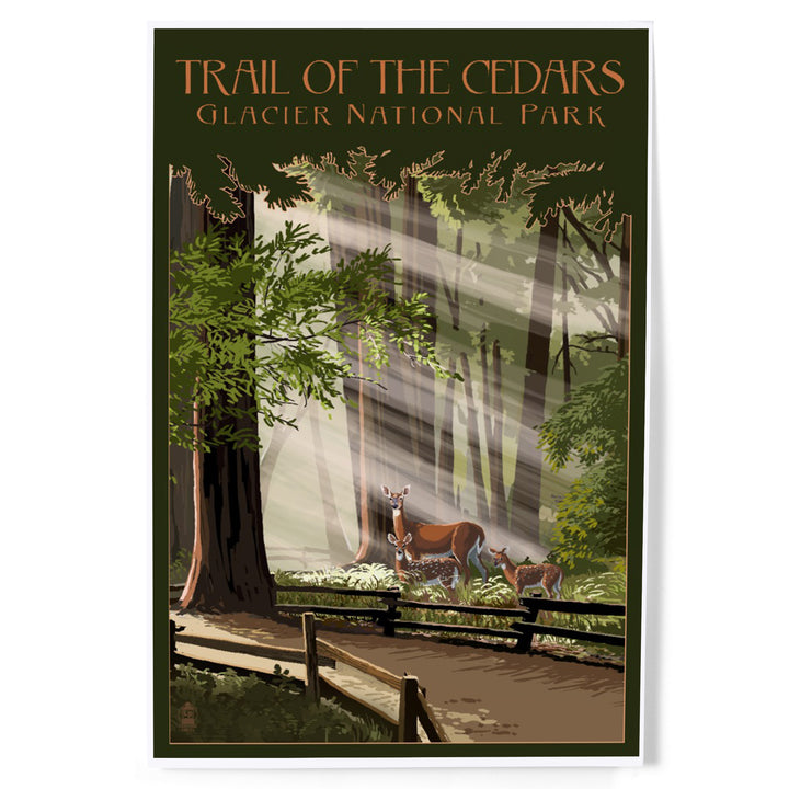 Glacier National Park, Montana, Trail of the Cedars, Deer Family, Art & Giclee Prints Art Lantern Press 8 x 12 Art Print