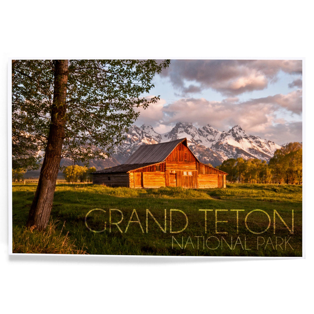 Grand Teton National Park, Wyoming, Barn and Tree, Art & Giclee Prints - Lantern Press