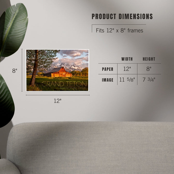 Grand Teton National Park, Wyoming, Barn and Tree, Art & Giclee Prints - Lantern Press