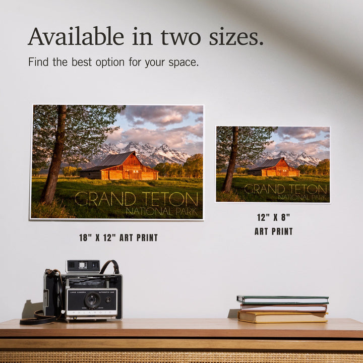 Grand Teton National Park, Wyoming, Barn and Tree, Art & Giclee Prints - Lantern Press