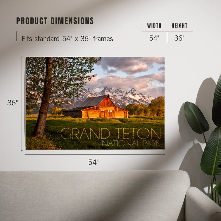 Grand Teton National Park, Wyoming, Barn and Tree, Art & Giclee Prints - Lantern Press