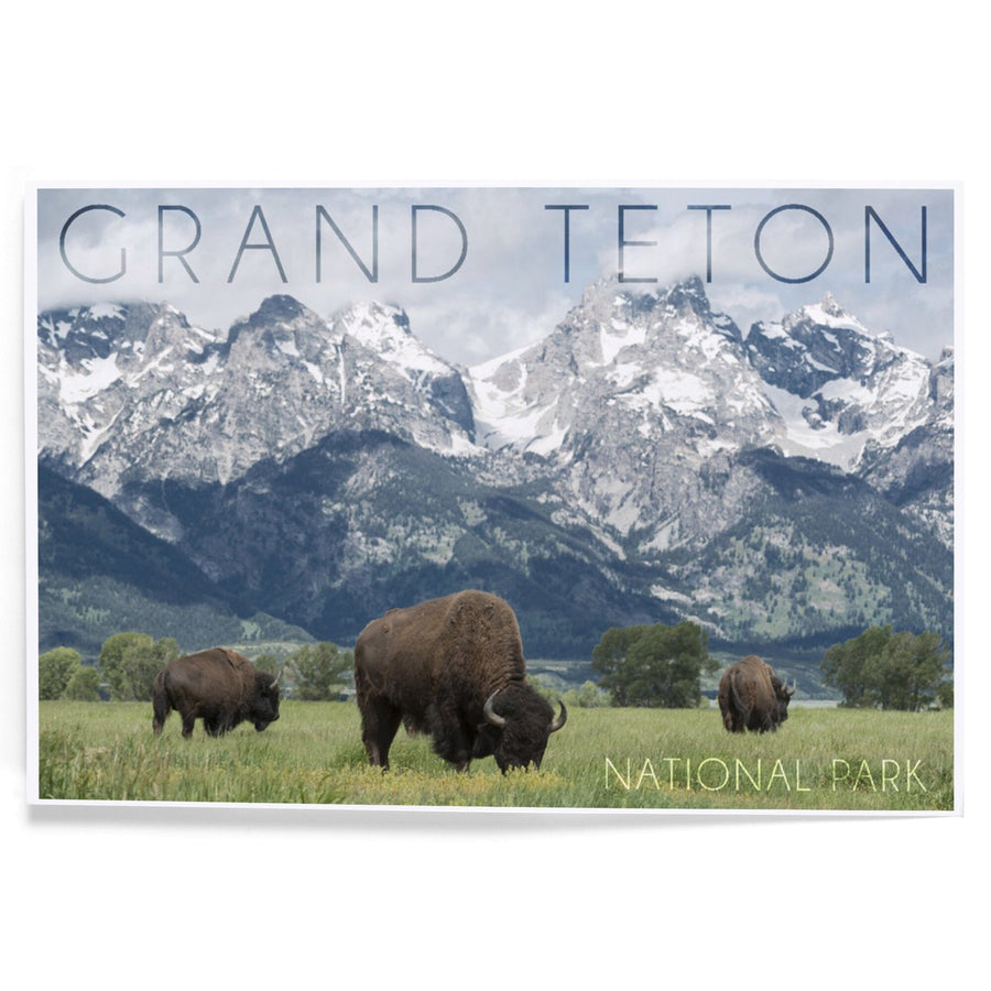 Grand Teton National Park, Wyoming, Buffalo and Mountain Scene, Art & Giclee Prints - Lantern Press
