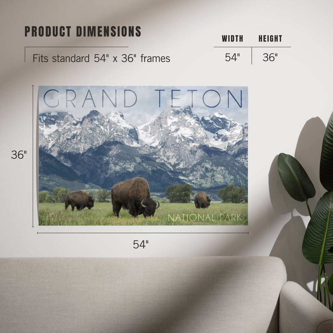 Grand Teton National Park, Wyoming, Buffalo and Mountain Scene, Art & Giclee Prints - Lantern Press