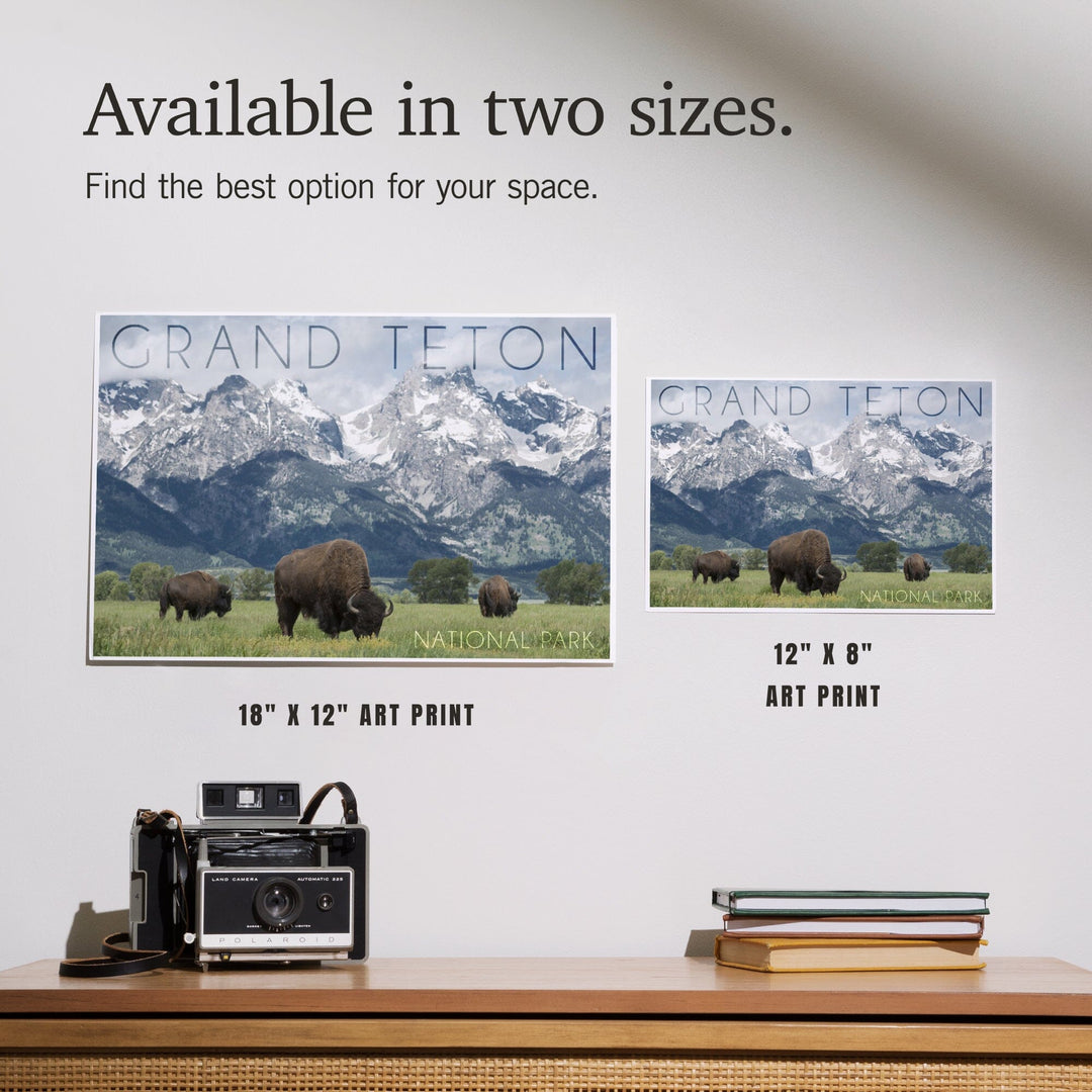 Grand Teton National Park, Wyoming, Buffalo and Mountain Scene, Art & Giclee Prints - Lantern Press