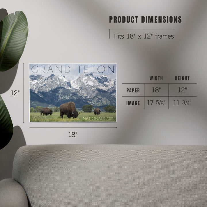Grand Teton National Park, Wyoming, Buffalo and Mountain Scene, Art & Giclee Prints - Lantern Press