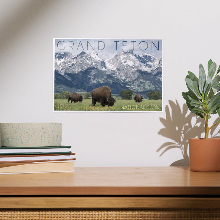 Grand Teton National Park, Wyoming, Buffalo and Mountain Scene, Art & Giclee Prints - Lantern Press