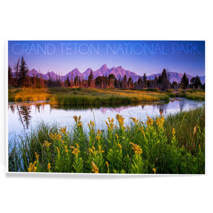 Grand Teton National Park, Wyoming, Flower Foreground, Art & Giclee Prints - Lantern Press